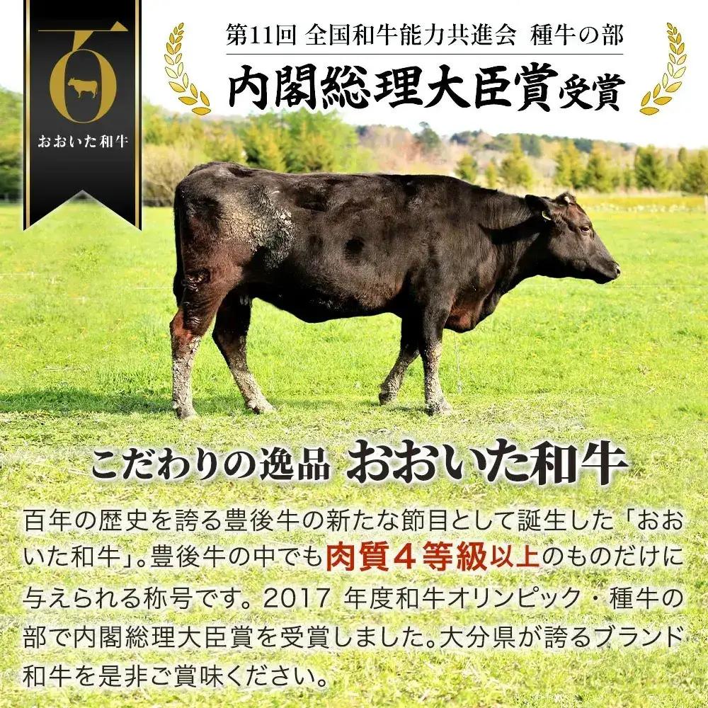 サーロインステーキ おおいた和牛  (200g×1枚) | ステーキ