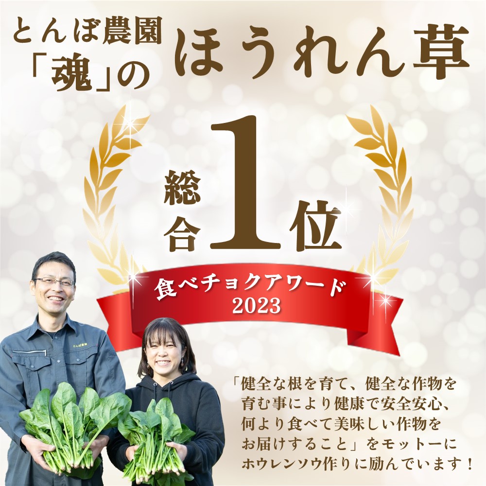 ほうれん草 2kg バラ詰め（大きな袋に2kg）【ハウス栽培 産地直送 クール便 佐賀県脊振山麓産】(H091117)