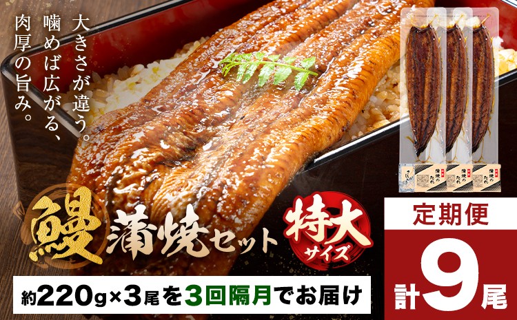 
                  【隔月定期便全3回】＼特大サイズ／ 鹿児島県産 鰻蒲焼真空セット！ 3尾  タレ・山椒付！ 株式会社薩摩川内鰻 《お申込みの翌月出荷》  鹿児島県 さつま町 送料無料 ウナギ 丑の日 うなぎ 刻み グルメ 特大 鰻 蒲焼 真空
                