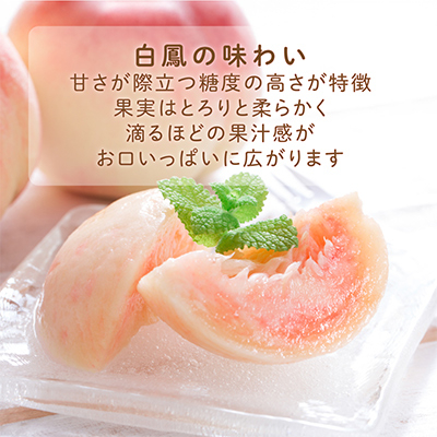 先行受付!　桃の王様【白鳳】　特秀品　約2kg　6～9個入【配送不可地域：離島】