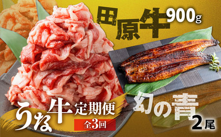 【定期便】幻の青うなぎ＆田原牛 堪能定期便 3回