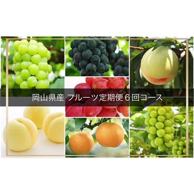 【発送月固定定期便】岡山県産 フルーツ定期便全6回【配送不可地域：離島・北海道・沖縄】【4006682】