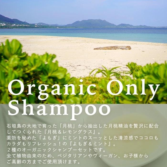 ふるさと納税 石垣市 オーガニックオンリーシャンプー　月桃&レモングラス、よもぎ&ミント 2本セット(パウチタイプ) |  | 01