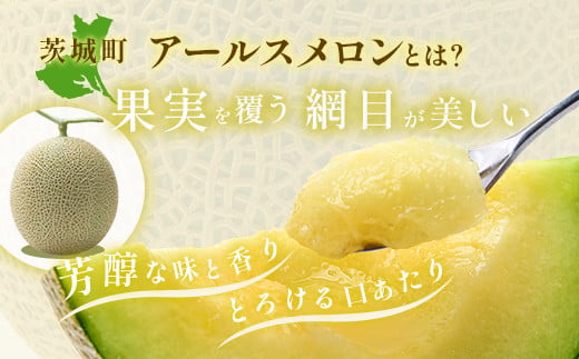 177茨城県JA水戸産アールスメロン【秀品】（2玉）【2024年8月下旬頃より発送予定】