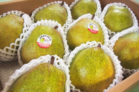 西洋梨（ラ・フランス）３ｋｇ　特秀品　化粧箱詰め　0037-2507