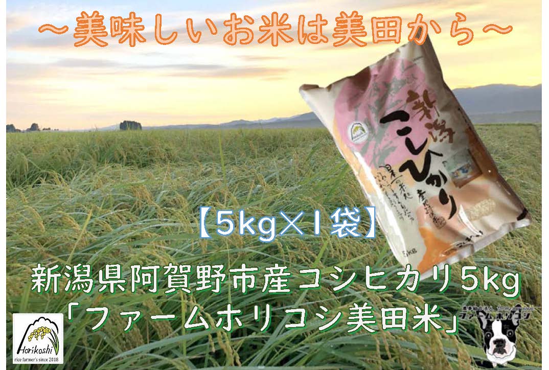 【令和7年産】阿賀野市産 コシヒカリ 「ファームホリコシ美田米」 5kg 数量限定 1週間以内に発送可 3H01010