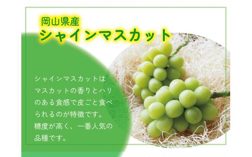 【2026年先行予約】 ここちとふぁーむ 【ギフト】 岡山県産 シャインマスカット 2～3房 1kg以上 【koko001-02】