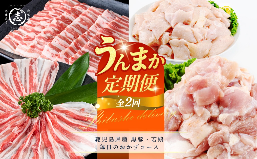 【定期便全2回】鹿児島県産 黒豚・若鶏 毎日のおかずコース！志布志うんまか定期便 t0031-004