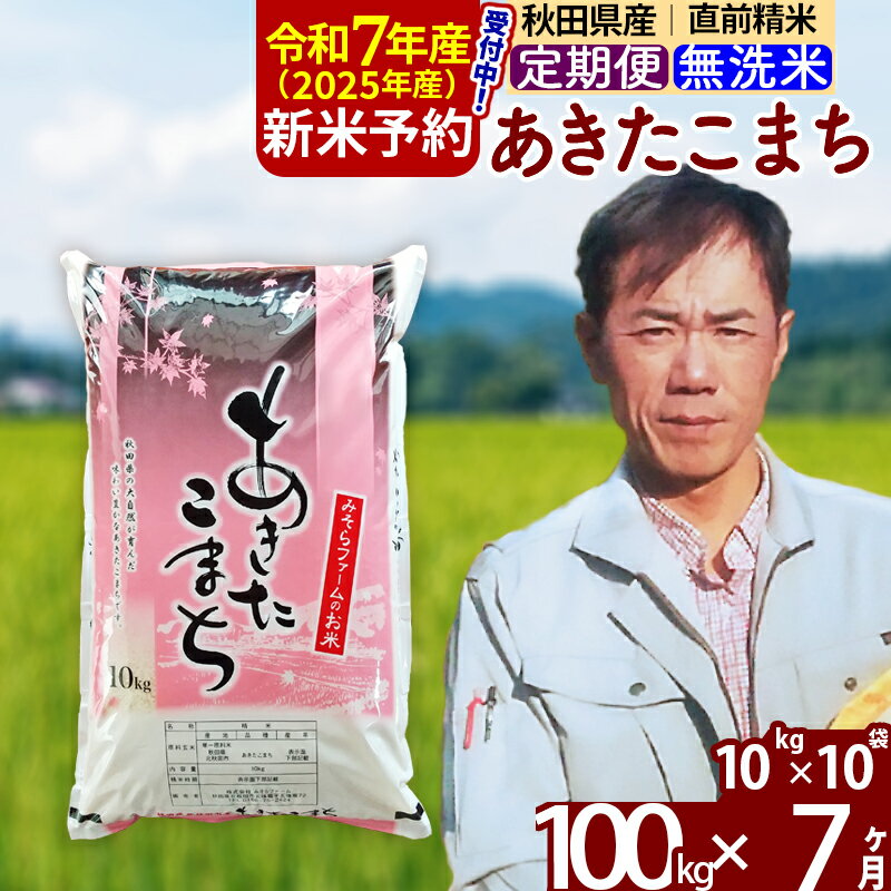 【ふるさと納税】※令和7年産 新米予約※《定期便7ヶ月》秋田県産 あきたこまち 100kg【無洗米】(10kg袋) 2025年産 お届け周期調整可能 隔月に調整OK お米 みそらファーム
