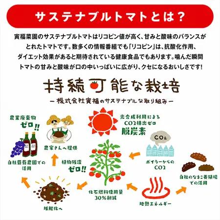 むつ市産　寅福菜園の「ミニトマト」4㎏