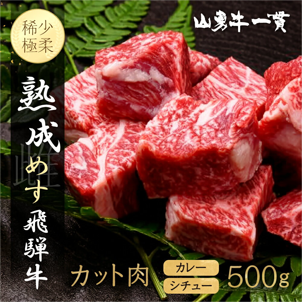 【ふるさと納税】飛騨牛 『山勇牛』すね肉等 カレーシチュー用 500g 角切り牛肉　30日以上熟成/A4・A5ランク飛騨牛 熟成肉 牛肉 和牛 肉 カレー用　シチュー用　角切り　煮込み用［B0061］1万円 14000円 飛騨市
