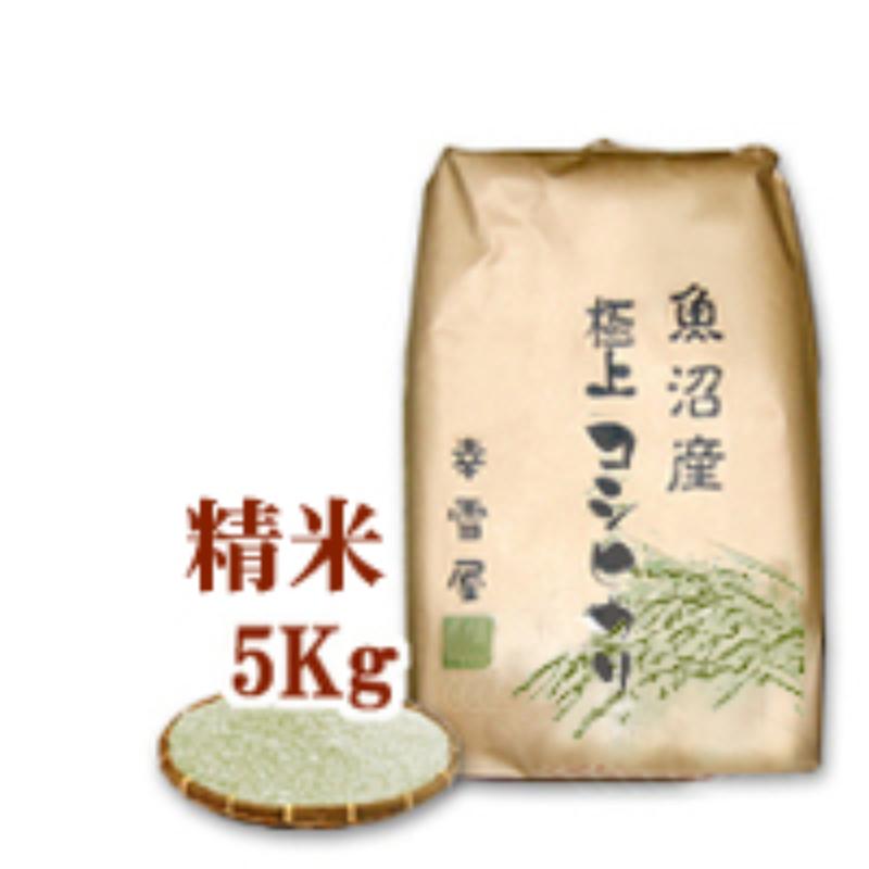 【ふるさと納税】令和7年産 魚沼コシヒカリ 非BL米 5kg 米 コメ こしひかり 十日町市