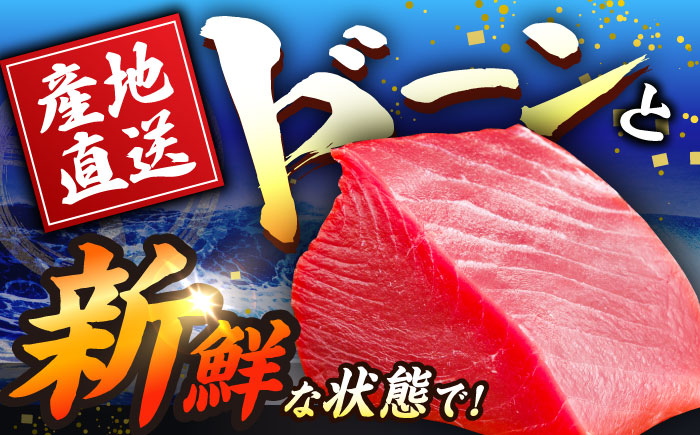 長崎県産 本マグロ「赤身」(約500g) マグロ まぐろ 鮪 赤身 さしみ 刺身 刺し身 冷凍 東彼杵町/大村湾漁業協同組合 [BAK011]