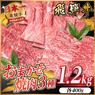 飛騨牛　おまかせ焼肉3種セット約1.2kg(各約400g)訳あり　BBQ　上カルビ・ロースなど【配送不可地域：離島】