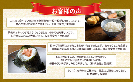 新米予約［令和7年産］定期便 秋田県産 あきたこまち 5kg×1袋 全6回 毎月お届け 羽後町産 [藤原商店]【 米 お米 白米 精米 新米 あきたこまち アキタコマチ 定期 定期便 美味しい 秋田 