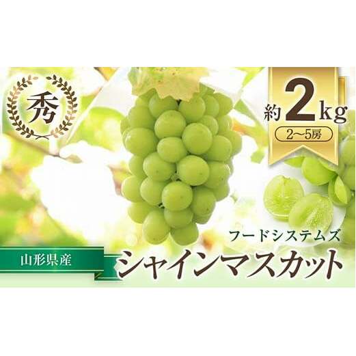 【令和7年産先行予約】 シャインマスカット 約2kg (2～5房 秀) 《令和7年9月下旬～11月中旬発送》 『フードシステムズ』 マスカット 葡萄 ぶどう 種なし 果物 フルーツ デザート 山形県 