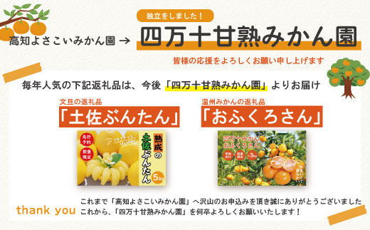 【早期受付・数量限定】熟成の土佐文旦5kg 家庭用 予約 先行受付 大人気 リピーター フルーツ 果物 旬 文旦 ぶんたん ブンタン 土佐文旦 柑橘 オススメ 四万十 しまんと 高知県 高知 産地直送