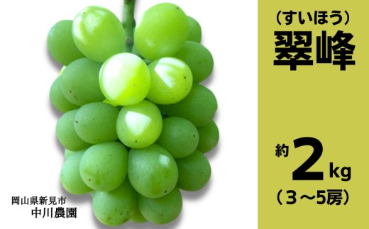 
                  中川農園 翠峰 約2kg 3～5房 【先行予約 2026年9月から順次発送】
                