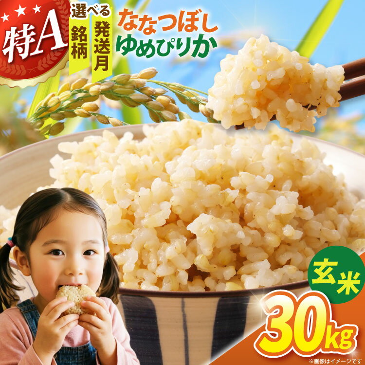 【ふるさと納税】 米 令和7年 令和8年 玄米 30kg 30キロ 選べる 銘柄 ゆめぴりか ななつぼし 発送月 [JA新すながわ 北海道 砂川市 12260896] 令和7年産 令和8年産 先行予約 お米 農協 JA