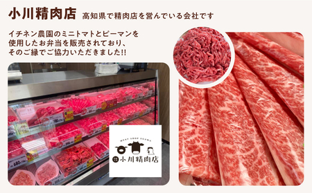 キーマカレー 10食セット｜高知県産 ミニトマト 食品ロス削減 イチネン農園×小川精肉店 コラボ 辛くない レトルトカレー 常備食にもおすすめ