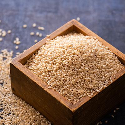 ふるさと納税 五戸町 【令和6年産】まっしぐら　玄米10kg |  | 02