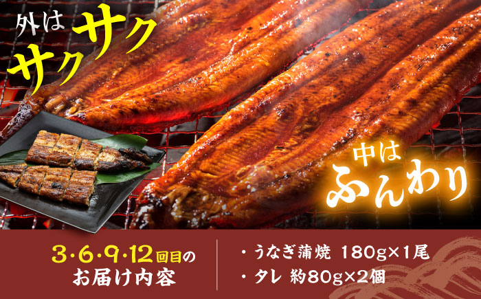 【12回定期便】炭火焼堪能 月替わり定期便（うなぎ蒲焼き トロさば やきとり）/すみまる [UDH082]