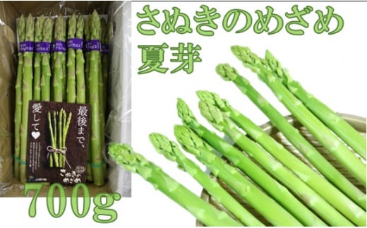 香川オリジナルアスパラガス「さぬきのめざめ」（セミロング）夏芽　700ｇ | 野菜 アスパラ アスパラガス さぬきのめざめ 料理 柔らかい 夏 冷蔵 新鮮 香川県 三木町 セミロング おすすめ |_mk006-028