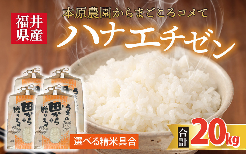 
                  【先行予約】【令和8年産・新米】【白米・玄米選択可】 ハナエチゼン20kg(5kg×4袋) ～本原農園からまごころコメて～ 【2026年9月上旬以降発送予定】 [D-8917]
                