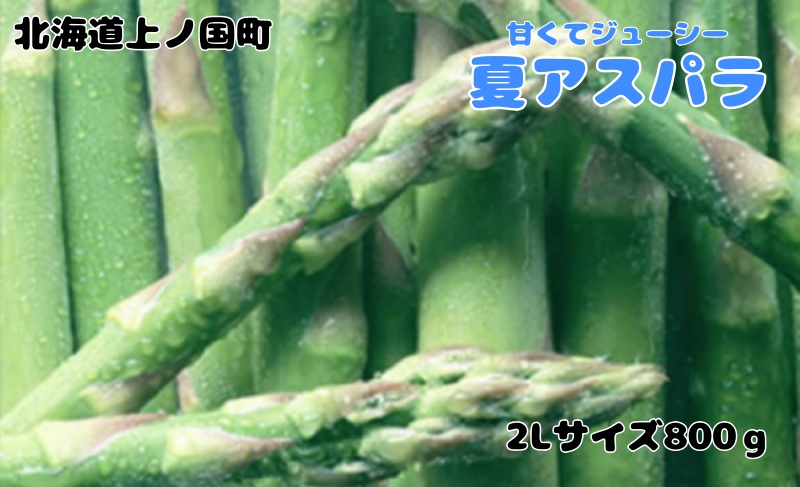 【2026年夏発送】寅福菜園の朝採り夏アスパラ　2L（800g）グリーンアスパラ　朝採れ　農家直送　新鮮　甘い　夏野菜　旬野菜　特産品　北海道産