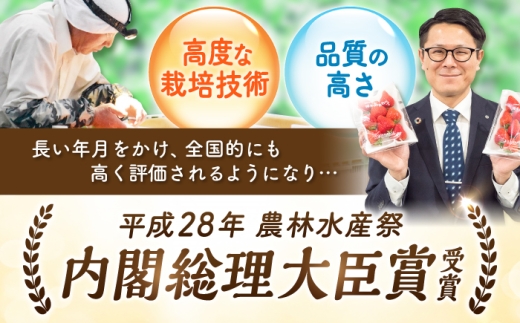 あまおうDX等級
