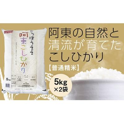 ふるさと納税 山口市 阿東こしひかり(普通精米5キログラム×2) C133