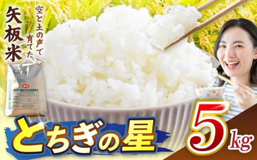 とちぎの星 5kg 空と土の声を聴いて育てた「矢板米」 | お米 米 栃木県 矢板市
