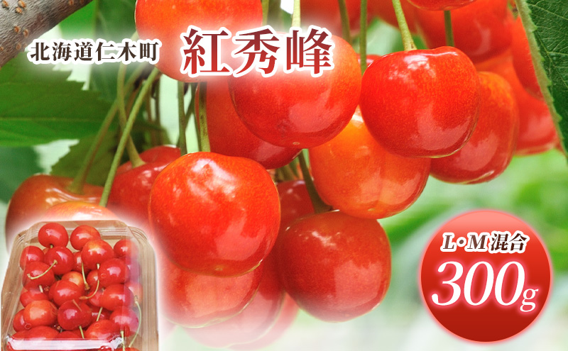 北海道 仁木町産 さくらんぼ 紅秀峰 300g (300g×1パック) L-Mサイズ 混合  旬 桜桃 産地直送 サクランボ チェリー フルーツ 果物 果物類 ギフト 仁木町 仁木 [松山商店]