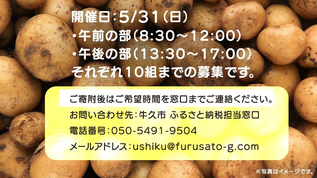 じゃがいも 「 とうや 」 収穫体験 (5/31（日）開催) ジャガイモ 芋 収穫体験チケット 収穫 収穫体験 体験 チケット 観光 旅行 自然 農業体験 お土産 持ち帰り