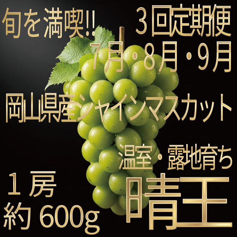 [HS]【定期便全3回】ぶどう先行予約7月・8月・9月発送温室シャインマスカット晴王1房約600g ブドウ 葡萄  岡山県産 国産 フルーツ 果物 ギフト デザート 食後 酸味が少ない 産地直送