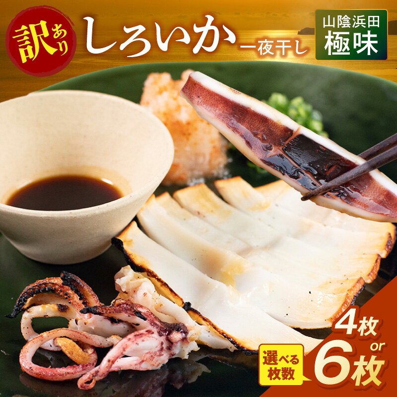 【ふるさと納税】山陰浜田極味 訳あり シロイカ（ケンサキイカ）一夜干し　【4枚 6枚】　選べる枚数　一夜干し 4枚 6枚 一夜干し 干物 ひもの いか 剣先いか 真いか 白いか 真空 冷凍 干物