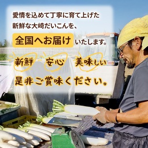 ＜2026年収穫分 先行予約＞大崎だいこん 1箱 10kg |野菜 10キロ だいこん