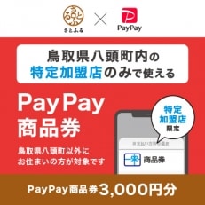 鳥取県八頭町　PayPay商品券(3,000円分)※地域内の一部の加盟店のみで利用可