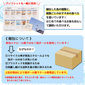 【A78004】漁師厳選！ロコフィッシュ(地魚) 下処理済 鮮魚 ボックス(約4～5kg)地魚 魚 お魚 冷蔵 生もの 加工品 未利用魚 低利用魚 焼き魚 焼魚 刺し身 刺身 煮魚 届くまでのお楽しみ
