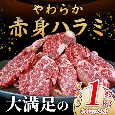 ふるさと納税 西予市 <秘伝の特製タレ仕込み!やわらか赤身ハラミ 約1kg(500g×2)> 訳あり はらみ ハラミ 赤身 |  | 02