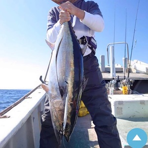 フィッシングマックスが開発する、完全現場視点のルアーブランド「AZZURRO」の、スロージギング対応 青物タチパターン必須のロングメタルジグ「ルンゴII 220g」2本セット