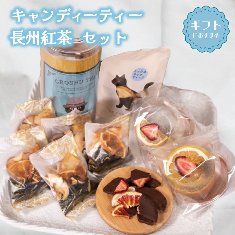 【ふるさと納税】 紅茶 キャンディーティー 長州紅茶 セット 飴 スイーツ お菓子 洋菓子 おやつ ドライフルーツ チョコ チョコレート フルーツ デザート ギフト プレゼント 贈答 ご褒美 贈り物 お子様にも お取り寄せ 母の日 父の日 中元 歳暮 バレンタイン 桃花 下関 山口