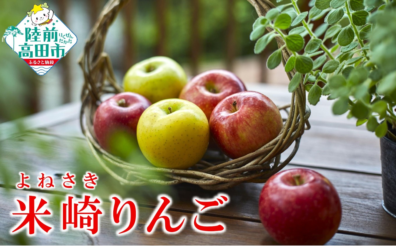 
                  《旬のりんごをお届け！》 米崎りんご 品種おまかせ 内容量が選べる 2.5kg 5kg 【 数量限定 りんご リンゴ 林檎 産地直送 新鮮 岩手 陸前高田 マルキヨファーム 】
                