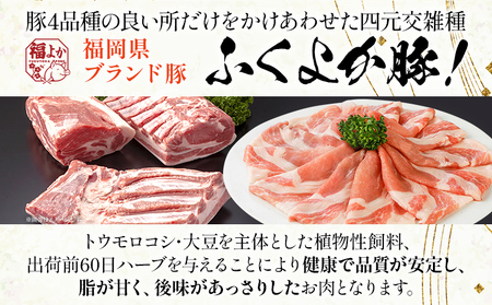 豚肉 福袋 【B】ふくよか豚肉 お試し全部セット