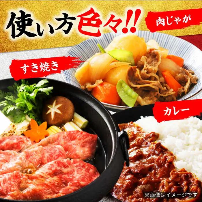 飛騨牛 切り落とし500g(250g×2) A5飛騨牛【マルゴー】[MBE002]