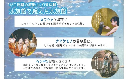 「DMMかりゆし水族館」入場券 大人1名(18歳以上)｜水族館 入場券 チケット 旅行 観光 沖縄旅行 沖縄 おきなわ 豊見城市(DG001)