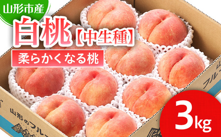 山形市産 白桃 【中生種】「かぐや・ゆうぞら・あぶくま」柔らかくなる桃3kg (8～11玉)【令和8年産先行予約】FS25-126