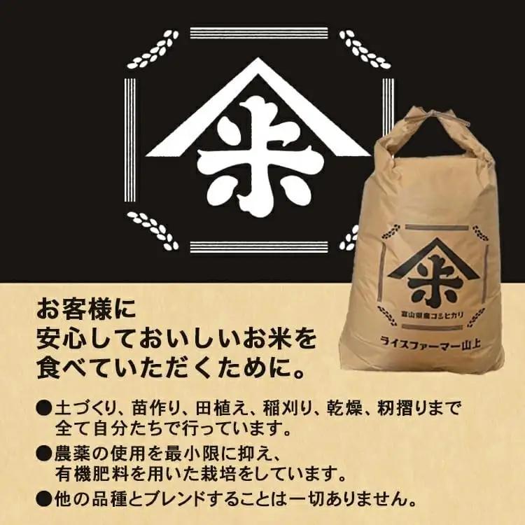 【射水市】【ライスファーマー山上】【農家直送】【射水の美味しいお米】R8年産コシヒカリ5kg【精米】 ※2026年10月上旬～10月下旬頃に順次発送予定 ※離島への配送不可