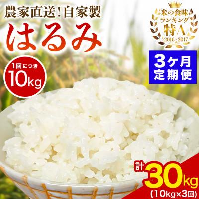 ふるさと納税 伊勢原市 【毎月定期便】合計30kg 精米 はるみ 10kg 加藤さんちのうんめぇ米全3回