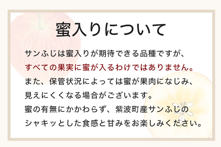 サンふじ 3kg 贈答用 りんご 岩手 紫波町産 秀品 (DV053)